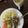 ジャマイカ在住ママ's cooksnap of when they made ひよこ豆の濃厚スープ.