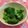 赤い電話's cooksnap of when they made 【お弁当用】簡単カレーブロッコリー.