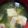 ﾌﾞﾚﾝﾀﾞ's cooksnap of when they made 豆腐とわかめの味噌汁.