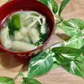 2880naaao's cooksnap of when they made 大根と薄揚げの味噌汁.