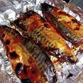 ムーミン☆ママ's cooksnap of when they made 片面焼きグリルでのみりん干しの焼き方.