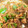 いなママＳ's cooksnap of when they made 簡単早い！鯖缶汁も一緒にピーマン炒め.