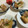 papikun's cooksnap of when they made うちの厚揚げの食べ方.