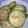 れいねぇね's cooksnap of when they made 胡瓜のゴマ和え.
