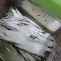 ひっこ's cooksnap of when they made ＊山菜＊ワラビの塩漬け保存.