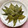 お料理ニャロメ's cooksnap of when they made 桜の葉の塩漬け.