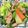 クックM6DK2O☆'s cooksnap of when they made 豚こまとチンゲン菜のごま油炒め.