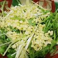 クック7FNN0F☆'s cooksnap of when they made やみつき天かす水菜サラダ　.