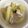 冷蔵庫レスキュー隊's cooksnap of when they made 冬瓜とスペアリブの中華スープ.
