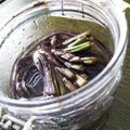 ひっこ's cooksnap of when they made ワラビの塩漬け保存.