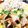 クッキン坊主's cooksnap of when they made 豚ロースとキャベツのオイスターソース炒め.