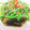 tekkokko☆'s cooksnap of when they made 空芯菜と干しエビの炒め物.