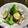 ふるたいや's cooksnap of when they made 豚肉と舞茸とブロッコリー炒め.