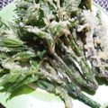 ひっこ's cooksnap of when they made お年寄り絶賛シリーズ☆うど葉先☆天麩羅☆.