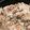 lick182182's cooksnap of when they made シーチキンの炊き込みごはん.