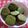 ♡crew♡'s cooksnap of when they made 簡単さくほろ抹茶クッキー.