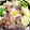 ボブナナ's cooksnap of when they made 豚肉の美味しい食べ方♪.
