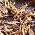 ふぁんころ's cooksnap of when they made 簡単！美味しい♡山うどの皮のきんぴら.