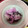 ぐりtoぐら's cooksnap of when they made 簡単一品＊長芋のゆかり漬け.