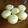 chi－chan's cooksnap of when they made HMで蒸しパン（プレーン）☆フライパン可.