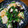 りー君グランマ's cooksnap of when they made エビとキクラゲのニラ玉炒め.