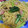 いっちゃまーん's cooksnap of when they made 柚子胡椒ときのこの最強和風パスタ.