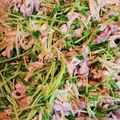 mofunomama's cooksnap of when they made 豚肉えのき豆苗のガーリックポン酢炒め.