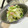 ☆環音☆'s cooksnap of when they made 青梗菜の梅さっぱり和え.