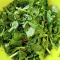 ムーミン☆ママ's cooksnap of when they made 毎日食べたい！簡単さっぱり春菊のサラダ.