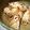 ＋SUN3's cooksnap of when they made お弁当に！結び蒟蒻のおかか和え.