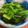 のりきん's cooksnap of when they made 簡単美味しいわさび菜の醤油漬け.
