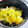 shiho23's cooksnap of when they made STAUBでジャガイモの蒸し焼き.