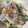 クック5NOFPV☆'s cooksnap of when they made 簡単♪スナップエンドウとゆで卵のサラダ.