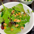 ルぴあ's cooksnap of when they made ベビーリーフ かいわれ 胡桃 前菜サラダ.