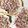 珍獣使い's cooksnap of when they made 桜の花の塩漬け.