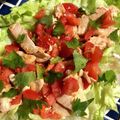 milsalud's cooksnap of when they made 蒸し鶏とトマトの生姜タレ和え.