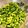 mint3mint3's cooksnap of when they made かぶの茎で菜飯.