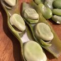 kotapo's cooksnap of when they made 焼きそら豆 オーブントースターで簡単♪.