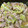 toshio39's cooksnap of when they made 煮込み10分！キャベツと豚こまの中華煮.