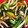 クックWI668R☆'s cooksnap of when they made 【簡単副菜】小松菜としめじのお浸し.