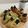 ChinchilaB's cooksnap of when they made 袋ひとつで！超簡単さくさくチョコスコーン.