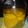 クックVW2MAB☆'s cooksnap of when they made 果実酒4☆マンゴー酒.