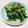 ☆ひなたmama☆'s cooksnap of when they made 簡単!!つぼみ菜のおひたし.