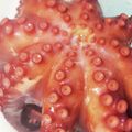 沙良波's cooksnap of when they made 生タコのゆで方.