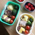 みるく茶's cooksnap of when they made お弁当にも♡レンジで作る簡単グラタン.