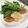 こふし's cooksnap of when they made 鮭のムニエル〜タルタルソース添え.