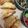 ワラワラ's cooksnap of when they made 餃子の皮でおつまみ ポテトチーズ揚げ.