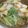 あんこだよ。's cooksnap of when they made 簡単水餃子鍋.