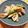 ｊｏｃｏｍｏｍｏｌａ's cooksnap of when they made 豚フィレ肉の中華炒め.