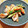 ｊｏｃｏｍｏｍｏｌａ's cooksnap of when they made 豚フィレ肉の中華炒め.
